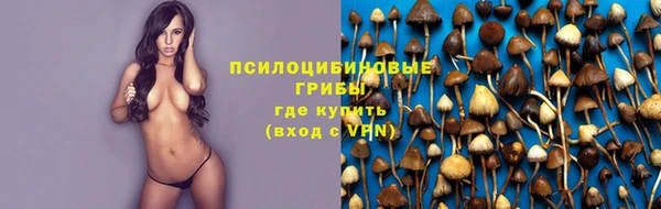 a pvp Кулебаки