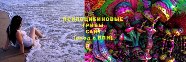 дживик Ладушкин