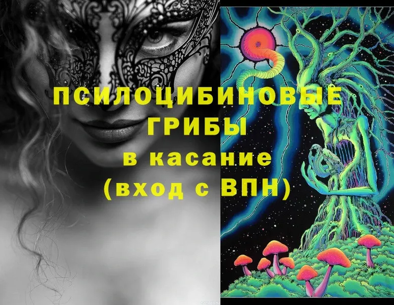 Галлюциногенные грибы Magic Shrooms  Юрьев-Польский 